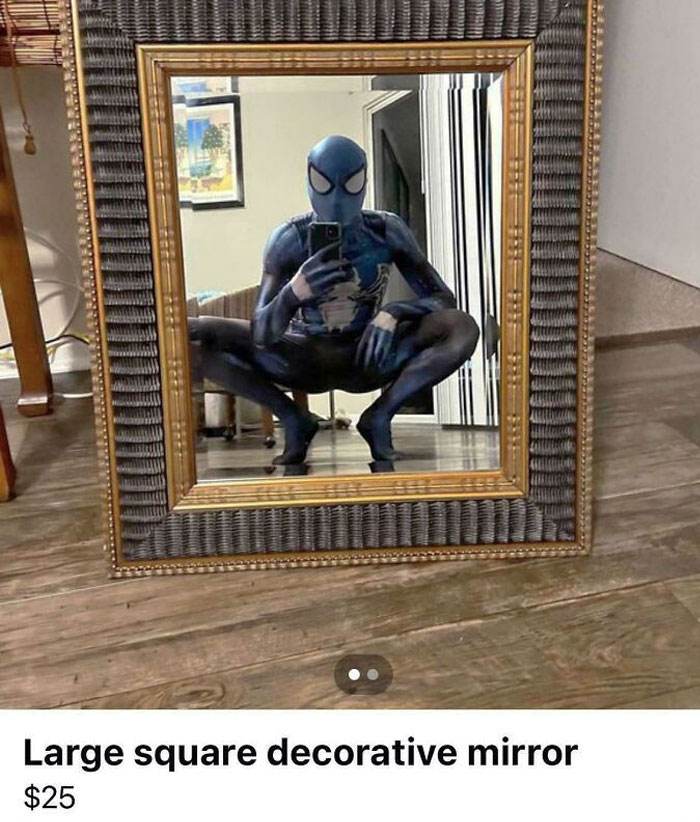 30 Hilarious Pictures of People Attempting to Sell Mirrors Online