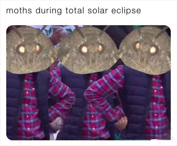 Hilarious Solar Eclipse Memes 6615041112Ed5 Png 700 1