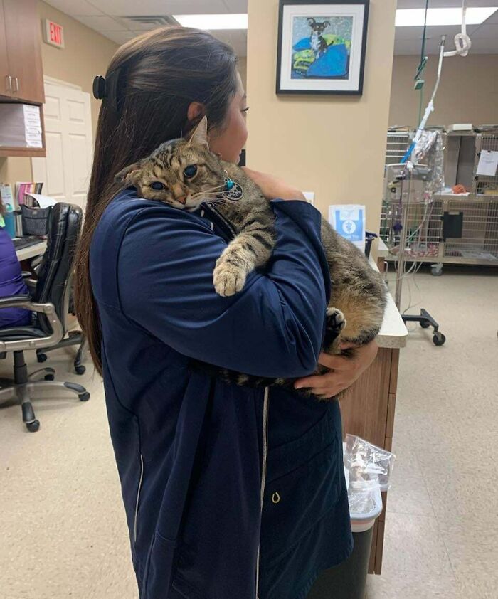 663890A4B03Be Vet Job Moments