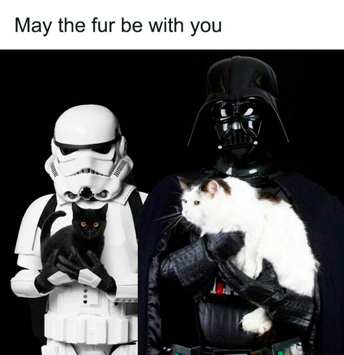 Funny Disney Is Life Memes 9 663A394Aa975A 700