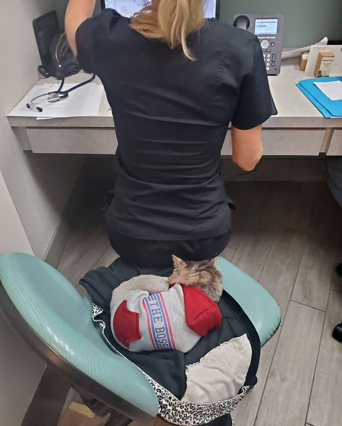 Vet Job Moments 11 6634Ce51863Db 700
