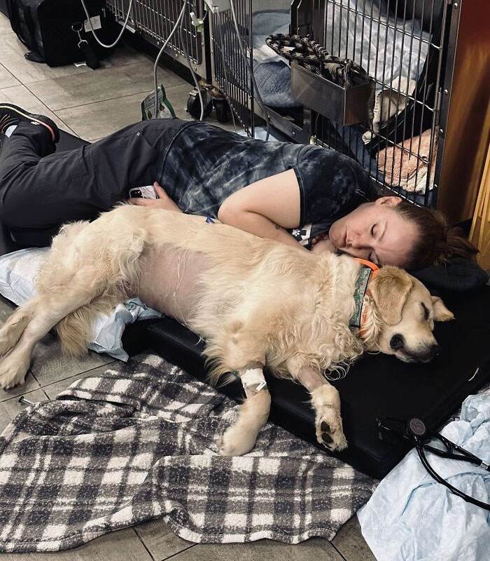 30 Heartwarming And Hilarious Moments Captured In Veterinary Clinics