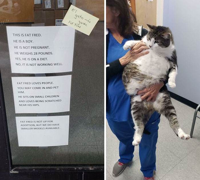Vet Job Moments 21 66388E254D3A4 700