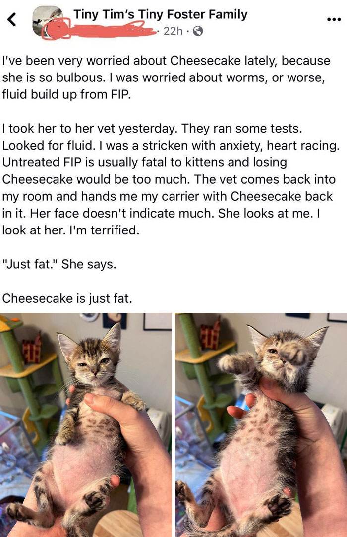 30 Heartwarming And Hilarious Moments Captured In Veterinary Clinics
