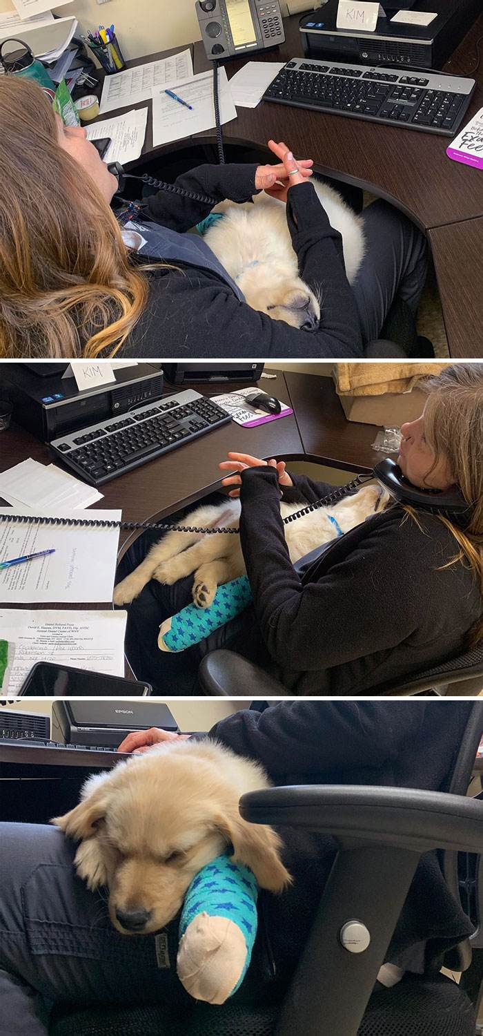 30 Heartwarming And Hilarious Moments Captured In Veterinary Clinics