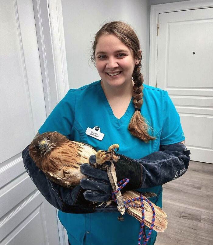 30 Heartwarming And Hilarious Moments Captured In Veterinary Clinics