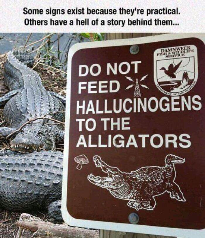 30 Hilarious Signs That Defy Logic And Common Sense