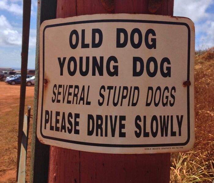 6659C3339Ffb7 Weird Funny Signs