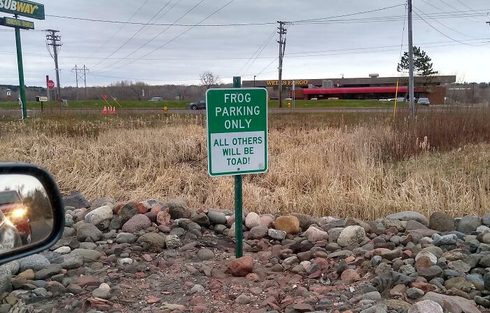 6659C405Df655 Weird Funny Signs