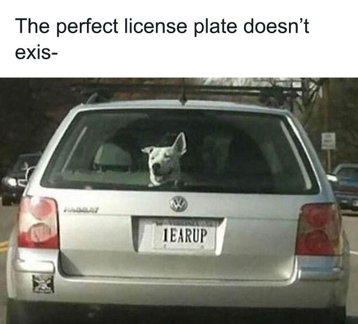 6666E7F3A547F Hilarious Random Memes 6666Edf9Bb4F0 700