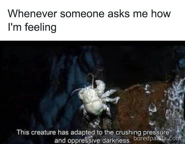 50 Funny Philosophical Memes To Help If You're Going Through An Existential Crisis