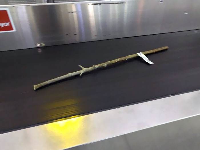 Funny Airport Photos 2 66865F047067B 700