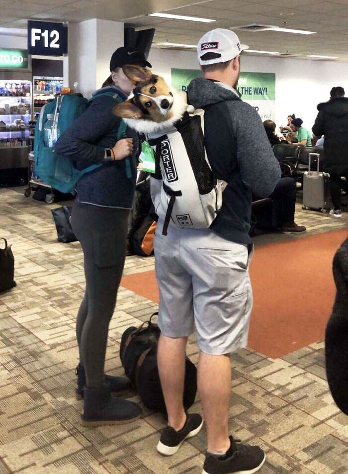 Funny Airport Photos 4 667E83C645800 700