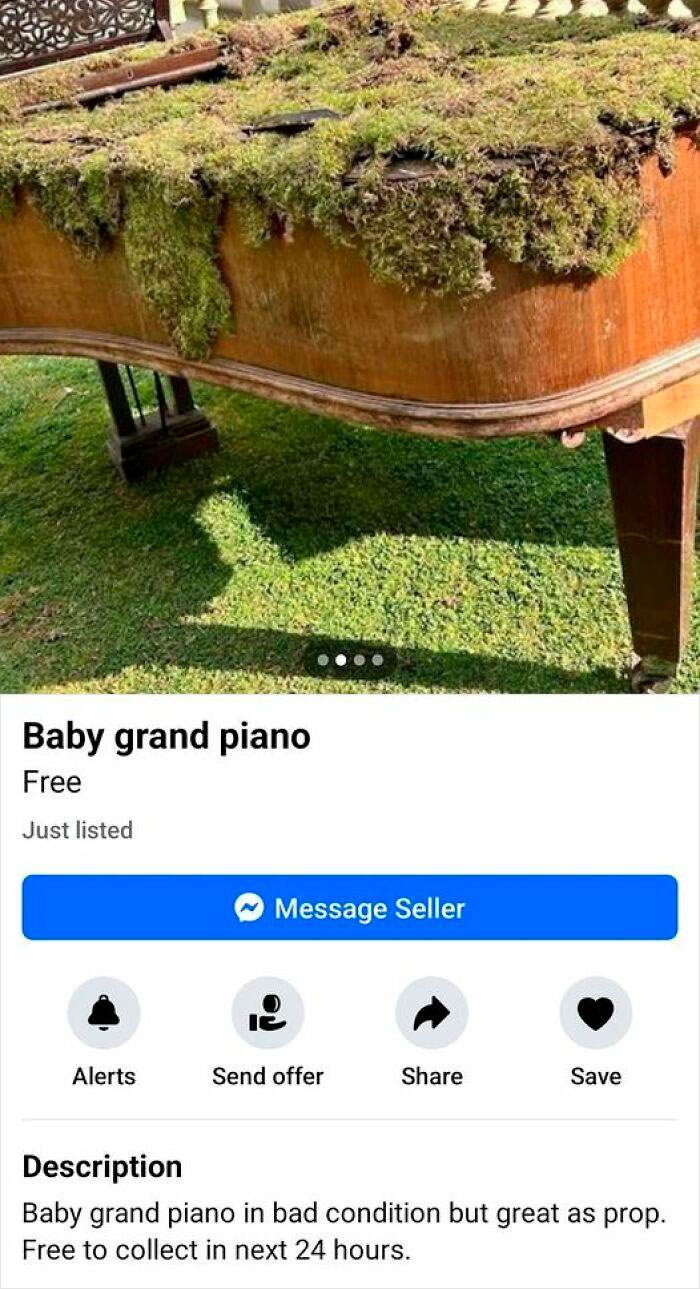 Funny Uninspiring Sellers 5 668653711E19B 700