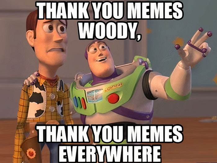 Thank You Meme 44 666C334466C10 700
