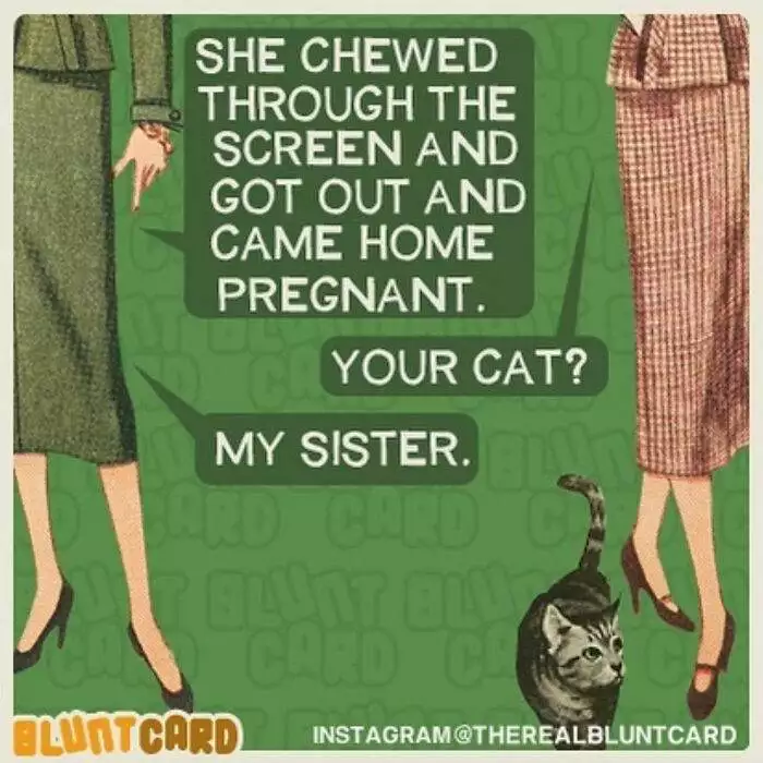 30 Hilarious And Relatable ‘Bluntcards’