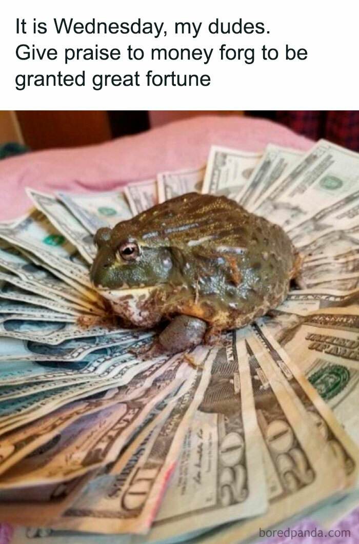 Wednesday Memes 13 66Bc939B3Cea3 700