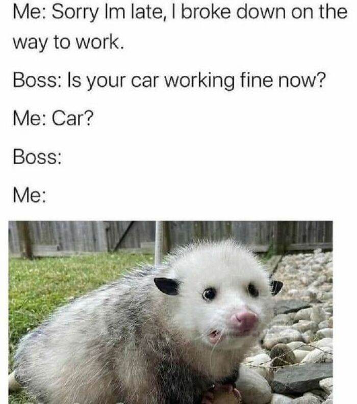 30 Memes You’ll Definitely Want To Share With Everyone