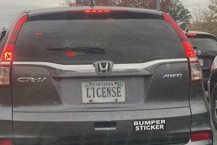 66D198D19516A Hilarious Bumper Stickers
