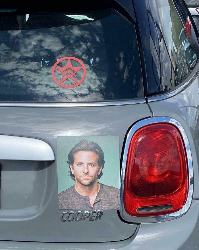 66Def7F877C79 Hilarious Bumper Stickers