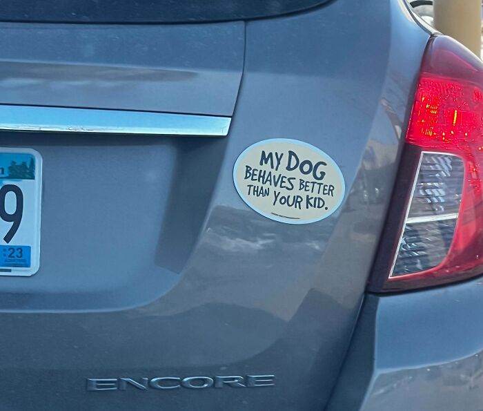 66Def98985465 Hilarious Bumper Stickers