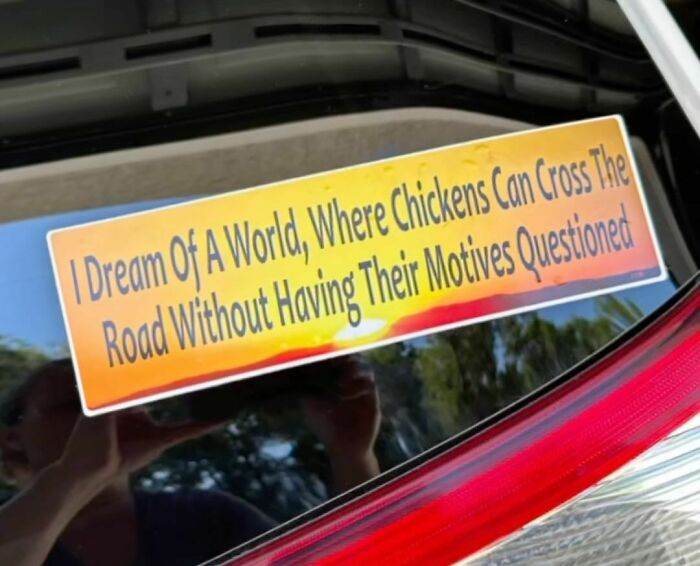 66Df12A5Eae71 Hilarious Bumper Stickers