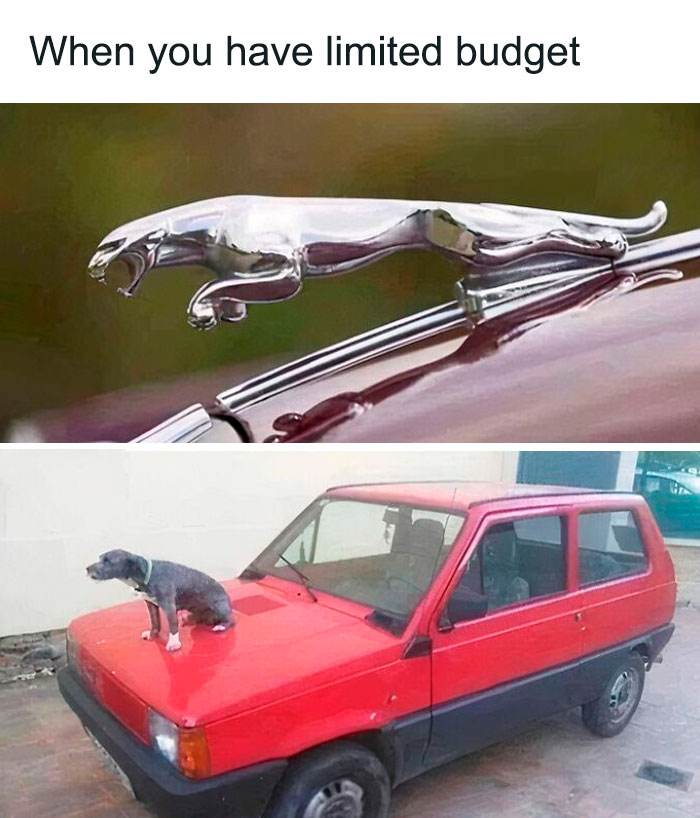 Funny Cars Memes Pics 21 66Dae0551F34D 700