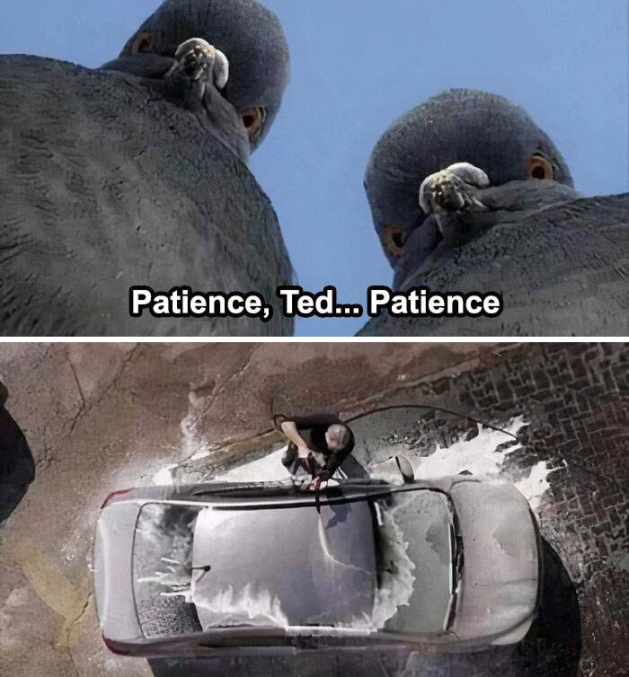 Funny Cars Memes Pics 4 66Dac55123367 700