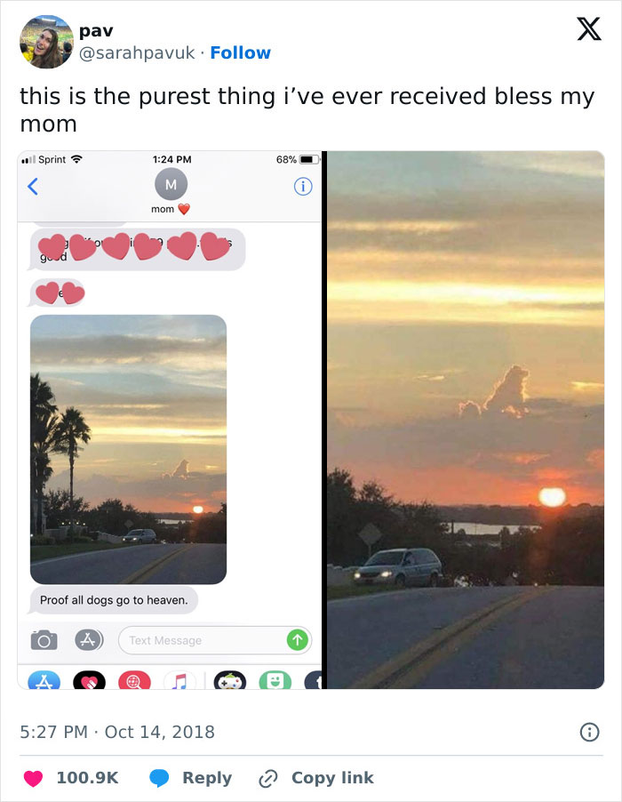Funny Dog Memes Dogmemesofinsta 13 66Defe3273180 700 1