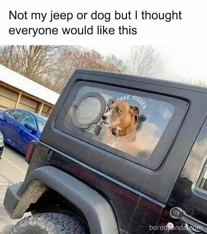 Funny Dog Memes Dogmemesofinsta 21 66Df08Dae5C85 700 1