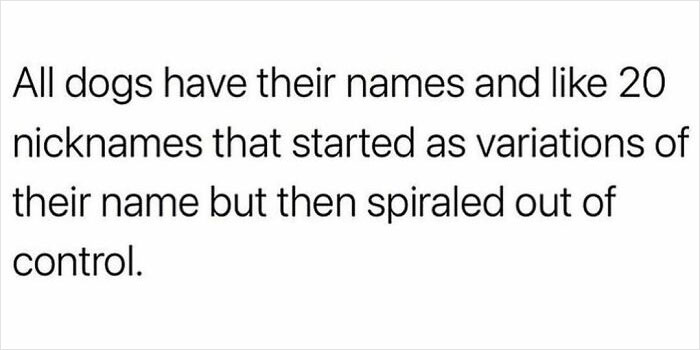 Funny Dog Memes Dogmemesofinsta 32 66E1581F5A82C 700 1