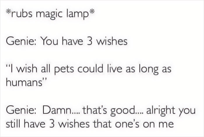 Funny Dog Memes Dogmemesofinsta 33 66E1586Ee32C7 700 1