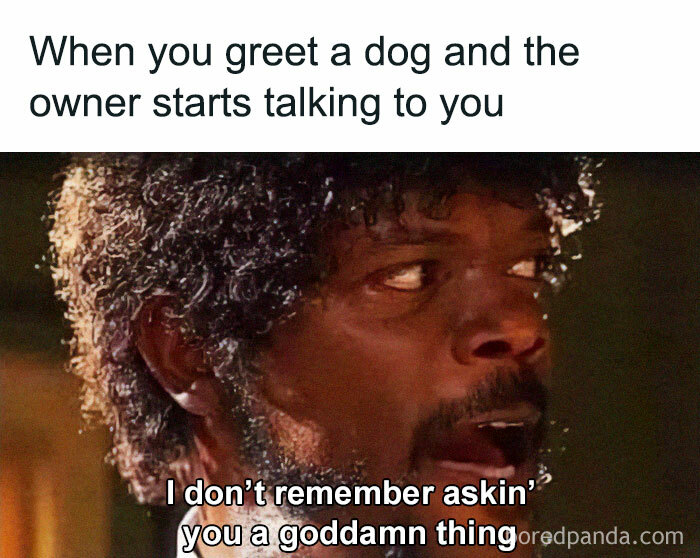 Funny Dog Memes Dogmemesofinsta 7 66Def8F4907Da 700 1