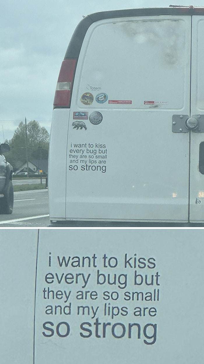 Hilarious Bumper Stickers 28 66Db1A3A850De 700