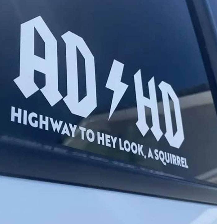 Hilarious Bumper Stickers 31 66De8E7Fee653 700