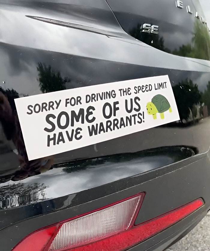 Hilarious Bumper Stickers 33 66D7038649Dcf 700
