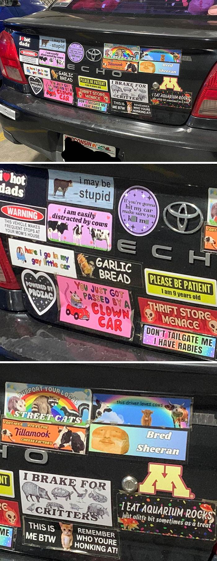 Hilarious Bumper Stickers 39 66E030E9394A3 700