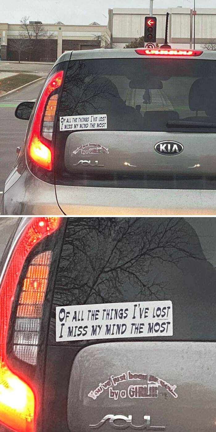 Hilarious Bumper Stickers 9 66D6Bf08Df7C0 700