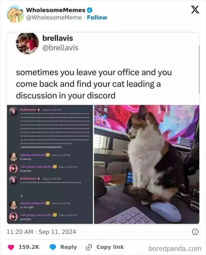 1833827969774620699 Png 700 1