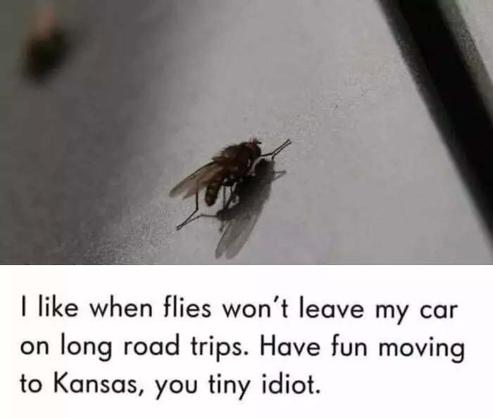 670685243A910 Funny Random Memes Morememesdammit