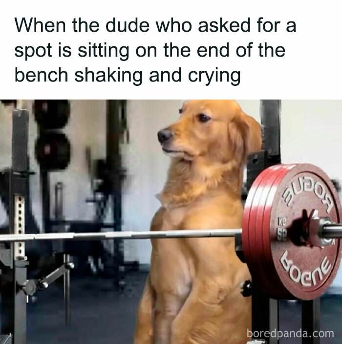 30 Hilarious Gym Memes For Anyone Who's Felt The Struggle Of ‘Just One More Rep’