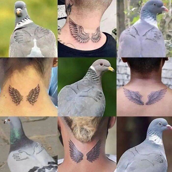 412489345 1027646391622692 6310553262224458647 N 672B1Bd70E6B4 700