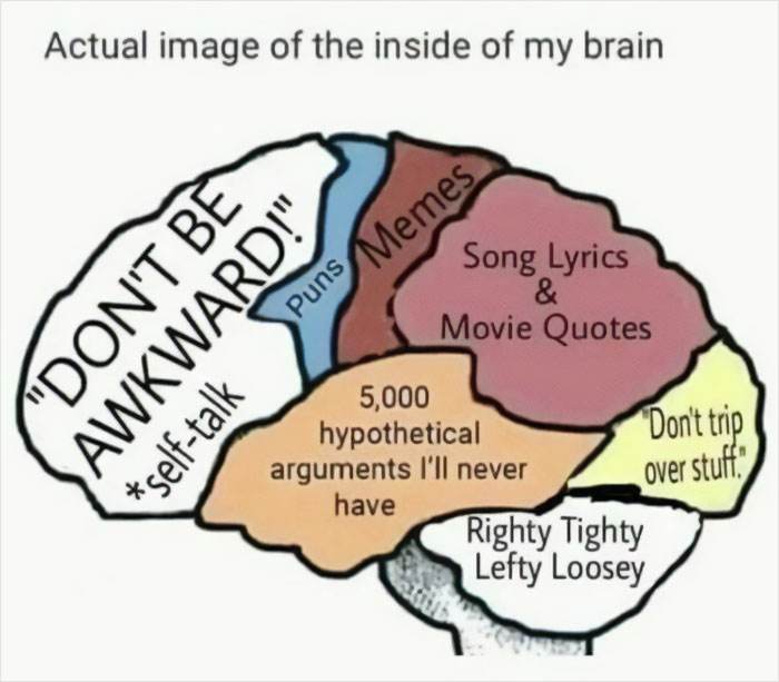 Anxiety Memes Jokes 39 6731Cbec489A0 700