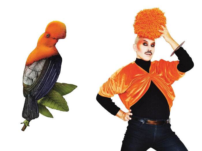 31 Everyday Objects Transformed into Beautiful NatureInspired Costumes