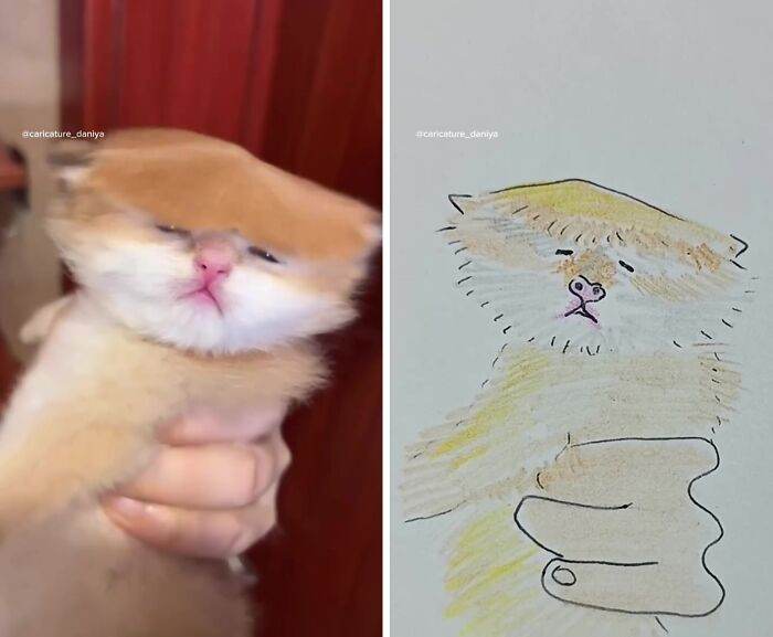 20 Hilarious Portraits by This Artist That Take Caricature to a Whole New Level of Absurdity