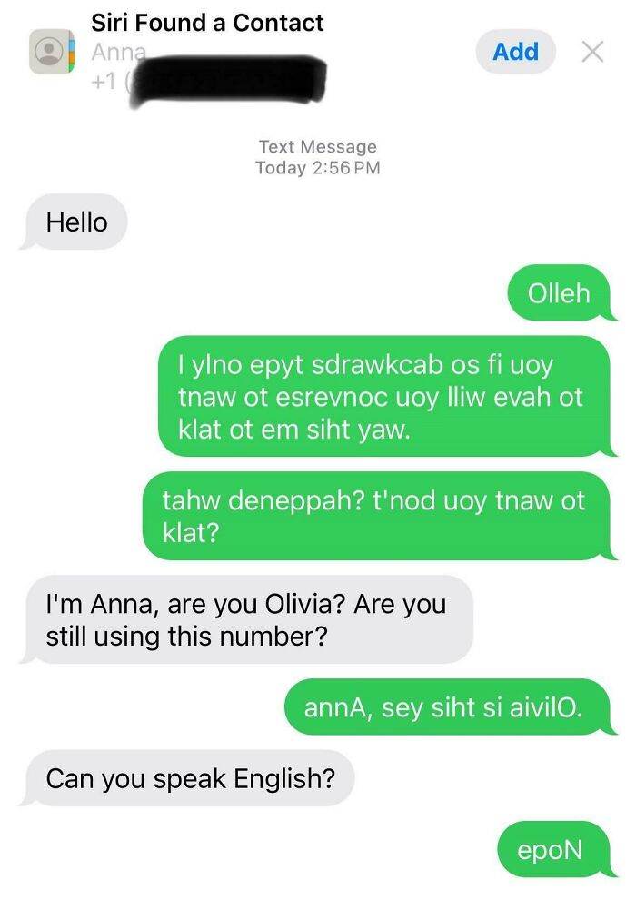 30 Entertaining and Satisfying Text Exchanges Between People and Scammers