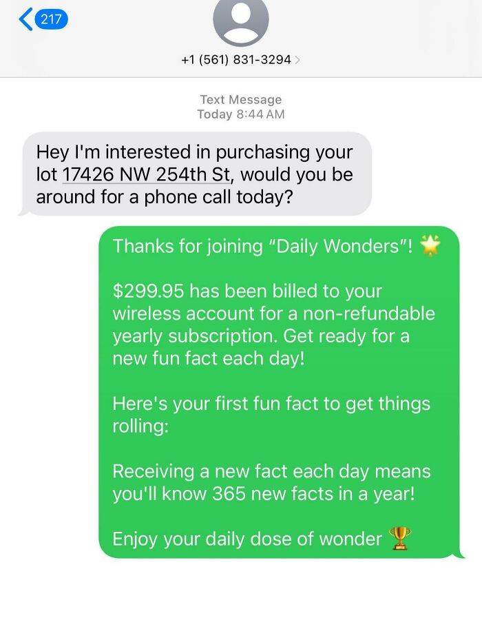 67530a2c480f3 scam text responses