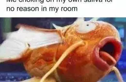 Hilarious Funny Random Memes Life Pics5 66E81C3F0608C 700