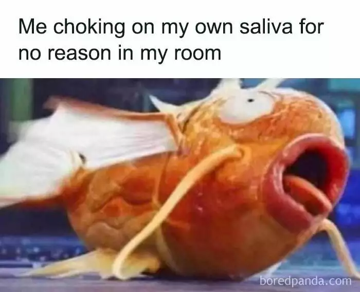 Hilarious Funny Random Memes Life Pics5 66E81C3F0608C 700