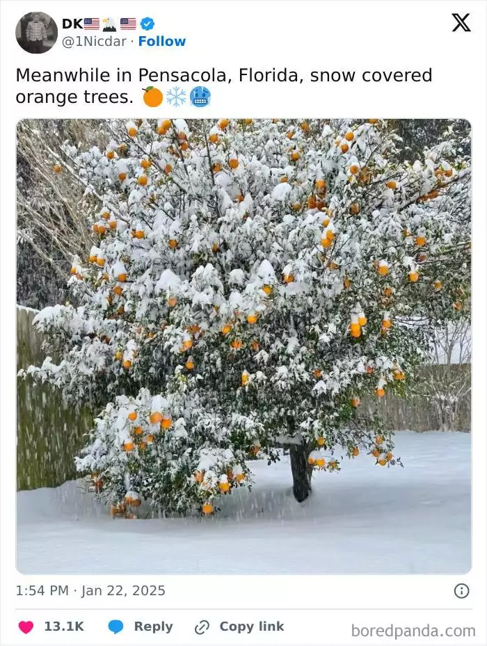 1882064323629216032 Png 700